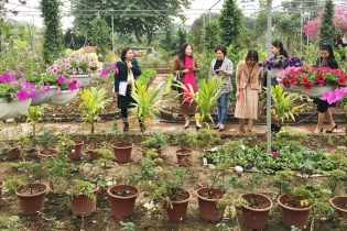 Độc đáo du lịch làng quê Hồng Vân đạt OCOP 4 sao
