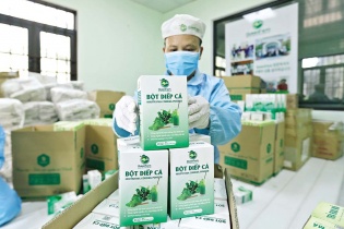 Doanh nhân trẻ kiến tạo nền nông nghiệp xanh