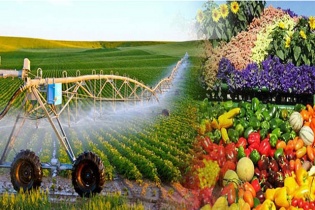 Tin vắn Đầu tư Online ngày 1/1