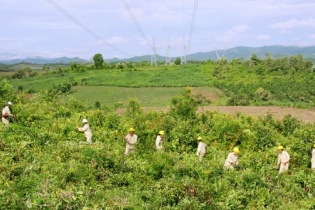 Tin vắn Đầu tư Online ngày 27/1