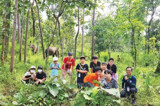 Đánh thức tiềm năng du lịch sinh thái rừng  
