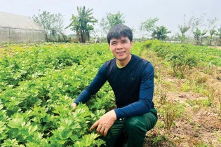 TS. Nguyễn Đức Chinh, Nhà sáng lập Nông trại GenXanh: Bỏ bàn giấy về với nông nghiệp hữu cơ