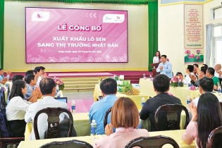 Phát huy giá trị kinh tế và văn hóa ngành hàng sen Đồng Tháp