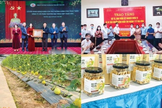 Công ty cổ phần Thương mại tổng hợp Toan Vân: 30 năm đồng hành kiến tạo hệ sinh thái bền vững