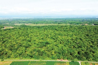 Du lịch Quảng Trị khai thác thế mạnh từ “rừng vàng, biển bạc”