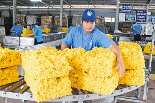 Việt Nam hướng đến vị thế trung tâm công nghiệp tiếp theo của châu Á