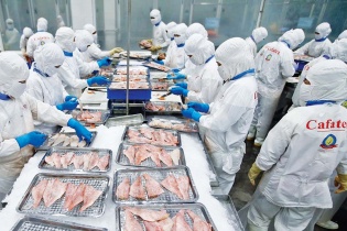 Xuất khẩu bận rộn nửa cuối năm 2024