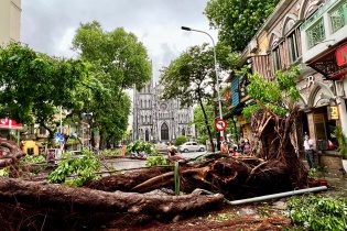 Bão Yagi tàn phá Hà Nội: Cây đổ la liệt, giao thông tê liệt; lực lượng chức năng và người dân nỗ lực khắc phục hậu quả