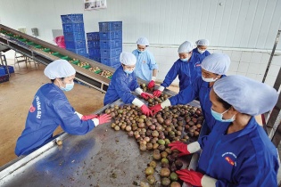Xuất khẩu rau quả có thể đạt 7 tỷ USD trong năm nay