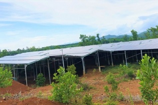 Nhiều trang trại ở Điện Bàn vi phạm quy định về đất đai   