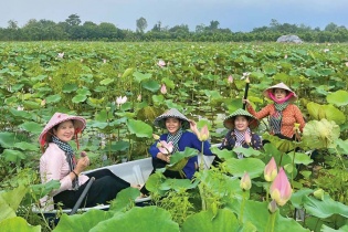 Đồng Tháp chú trọng phát triển du lịch xanh
