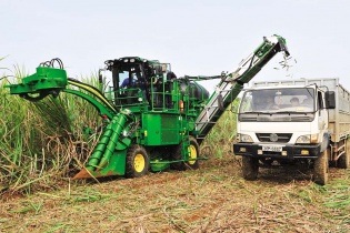 Cơ hội kinh doanh từ “gom” tín chỉ carbon   