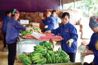 Nông sản xuất khẩu bị “soi” nhiều hơn