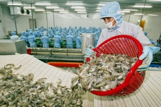 SCIC lại rao bán lô cổ phần “ế” tại COIMEX