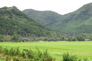 Doanh nghiệp đề xuất 4 dự án chăn nuôi “khủng”, Quảng Nam thận trọng