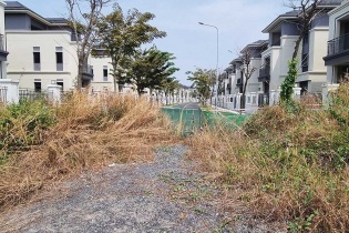 Dự án biệt thự, nhà phố: Khó đủ đường, doanh nghiệp vẫn thích làm