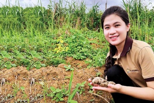 Nguyễn Cẩm Ly, nhà sáng lập thương hiệu An Khương: Chọn đi ngược dòng để nâng tầm gừng Kỳ Sơn