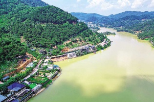 “Xẻ thịt” đất rừng phòng hộ, hàng loạt cán bộ hầu tòa