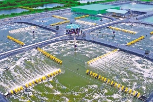 Cà Mau đột phá phát triển toàn diện trong kỷ nguyên mới