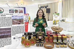 Châu Thị Nương, Giám đốc HTX Nông nghiệp Tà Đảnh: Mở lối đi “xanh” từ nấm hữu cơ