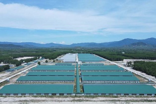 Gia Lai tạm dừng đề xuất dự án chăn nuôi mới   