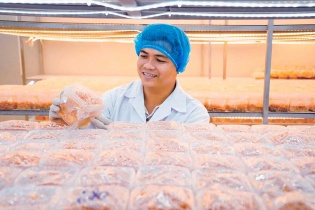 Trần Tài, nhà sáng lập, CEO Công ty TNHH Nấm sinh học Việt Nam Vinabiomush: Thạc sĩ trồng nấm thời 4.0