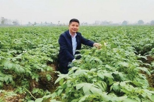 Doanh nhân Phạm Văn Tấn: Hành trình “gieo hạt” của một doanh nhân không ngại đất bùn   