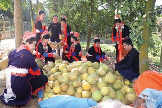 Nguồn vốn ưu đãi tiếp sức đồng bào khó khăn vươn lên thoát nghèo