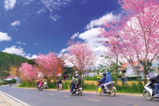 Thị trường du lịch sớm vào mùa Tết 2026