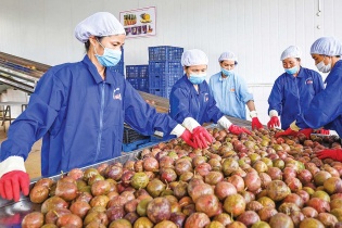 Xuất khẩu trước bài toán cán đích 550 tỷ USD