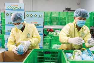 “Cuộc sàng lọc” xuất khẩu với doanh nghiệp nông, lâm, thủy sản