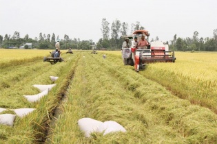 Ðồng Tháp hướng đến nền nông nghiệp sinh thái xanh bền vững