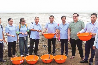 Tràm Chim phát triển kinh tế gắn với hình ảnh địa phương