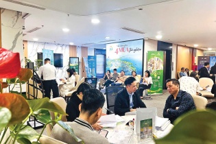 Nhà sang “duplex” bước vào thị trường đại chúng