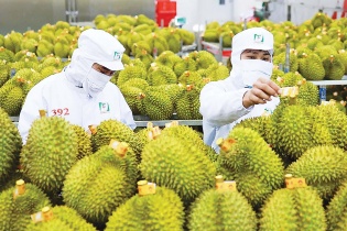 Xuất khẩu nông sản chịu nhiều sức ép mới