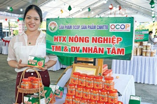 Đưa “yến của rừng” bay xa