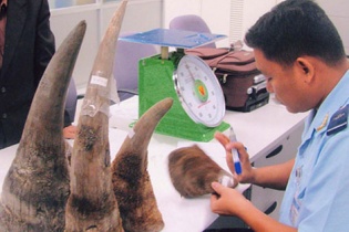 Phát hiện, bắt giữ gần 600 vụ vi phạm về hải quan trong tháng 11/2016