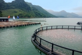 Triển vọng nuôi trồng thủy sản xuất khẩu với sự vào cuộc của doanh nghiệp