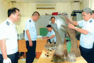 Hải quan ban hành 1 quyết định khởi tố, chuyển cơ quan khác khởi tố 17 vụ trong tháng 5