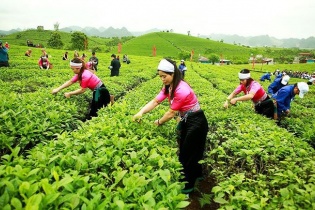 GTNFoods họp cổ đông bất thường để sửa điều lệ