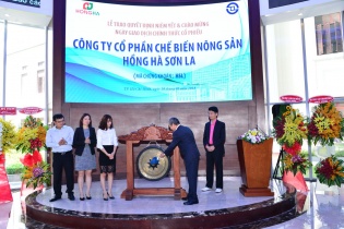 Hồng Hà Sơn La cho Hồng Hà Pharma vay vốn lãi suất 5%