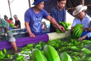HAGL Agrico kéo dài thời hạn trái phiếu 