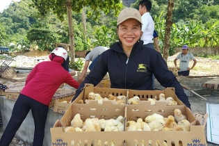 Mavin hỗ trợ sinh kế cho người nghèo huyện Như Xuân, Thanh Hóa