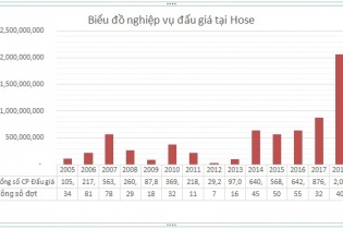 Đấu giá cổ phần trên HoSE hút gần 230.000 tỷ sau 20 năm