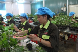 Nafoods Group: Phó tổng giám đốc kinh doanh bán một nửa số cổ phần