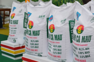 Đạm Cà Mau chốt ngày chia cổ tức, PVN nhận về 240 tỷ đồng tiền mặt