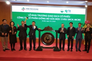 Mộc Châu Milk sẽ nuôi bò kết hợp du lịch sinh thái