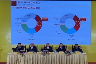 Hoa Sen đặt mục tăng trưởng sản lượng 11% trong niên độ tài chính mới 