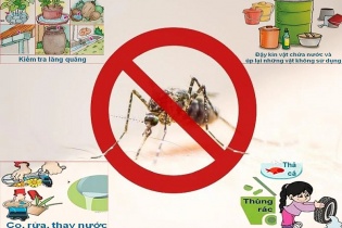 Tin mới về y tế ngày 14/7: Phân tuyến điều trị sốt xuất huyết Dengue; Bệnh nhân mắc cúm A tăng cao