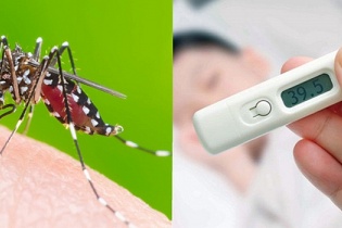 Tin mới về y tế ngày 5/10: TP.HCM điều trị sốt xuất huyết theo mô hình tháp 3 tầng